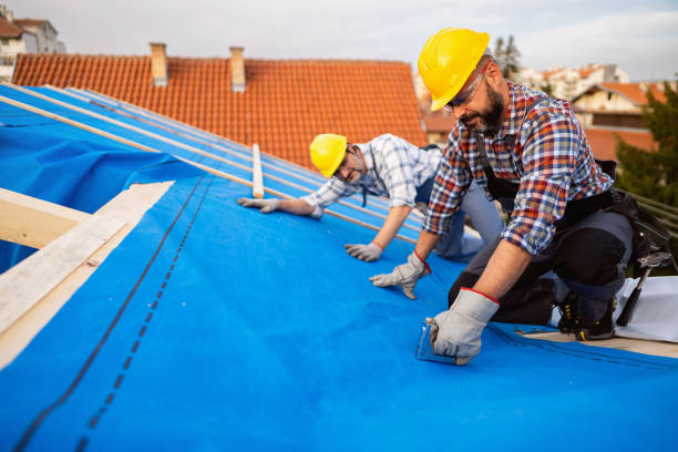 Best New Roof Installation  in Cambridge, IL