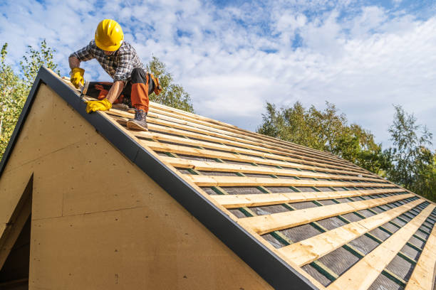 Best Flat Roof Repair Services  in Cambridge, IL