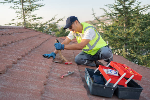 Residential Roof Replacement in Cambridge, IL