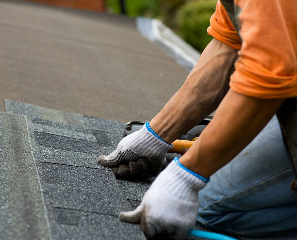 Best Roof Gutter Cleaning  in Cambridge, IL