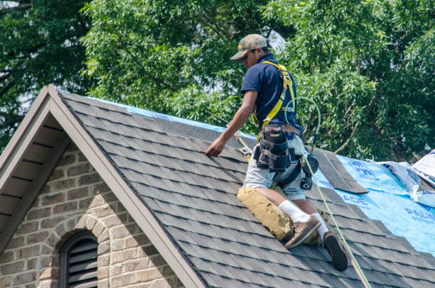 Best Residential Roof Replacement  in Cambridge, IL